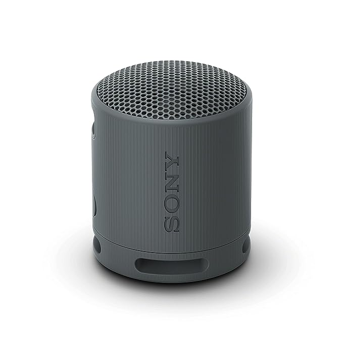 Sony SRS-XB100 2.5W Portable Bluetooth Speaker (IP67 Waterproof, 1.0 Channel